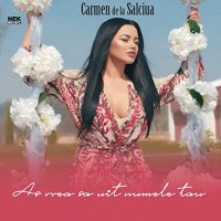 Carmen de la Salciua - As vrea sa uit numele tau