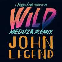 Ringtone Wild (Meduza Remix) .MP3 Download (FREE)