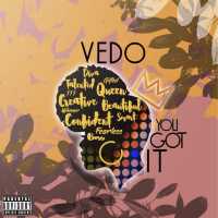 Vedo - You Got It