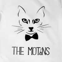 The Motans - Cel din oglinda
