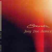 Ringtone Senorita (Joey Doc Remix) .MP3 Download (FREE)