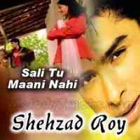 Ringtone Shehzad Roy .MP3 Download (FREE)