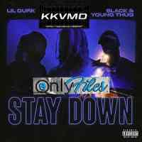 Ringtone Stay Down .MP3 Download (FREE)