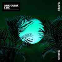 David Guetta x Sia - Flames (Robin Schulz Remix)