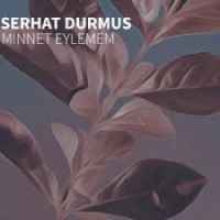 Serhat Durmus & Zerrin - Hislerim (Jarico Remix)