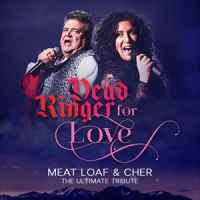 Cher and Meatloaf - Dead Ringer For Love