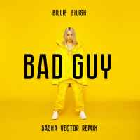 Billie Eilish - Bad Guy (Sasha Vector Remix)