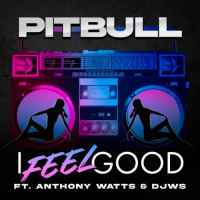 Pitbull, Anthony Watts, DJWS - I Feel Good