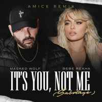 Masked Wolf x Bebe Rexha - It Is You Not Me Sabotage (Amice Remix)